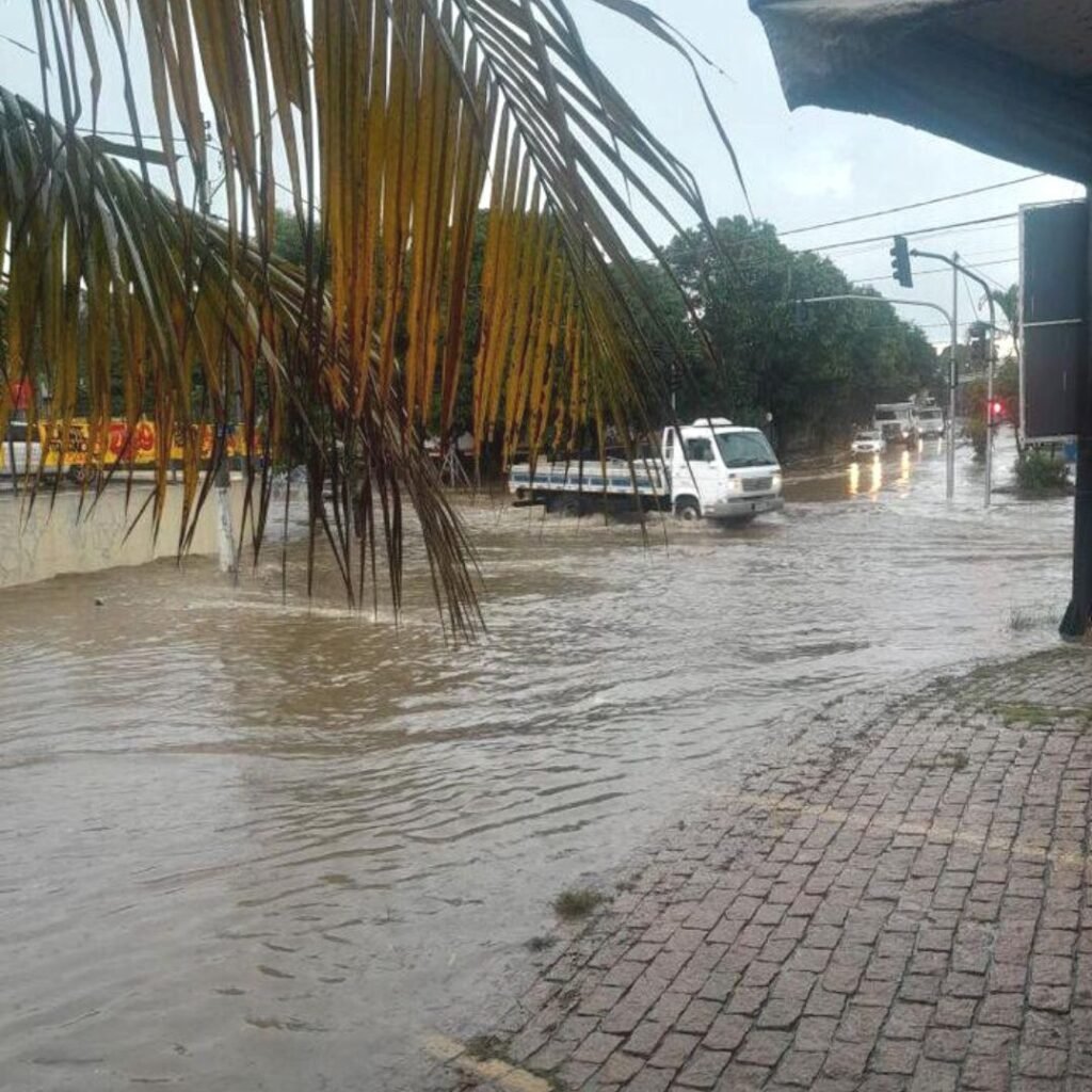 Valinhos registra queda de árvores e alagamento durante forte chuva