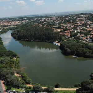 181 árvores serão removidas da Lagoa do Taquaral em Campinas