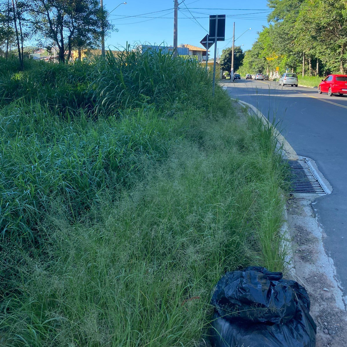 Valinhos sofre com infestação de pernilongos em várias regiões
