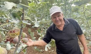 Produtor Chicão Previtali é campeão da exposição da Festa do Figo