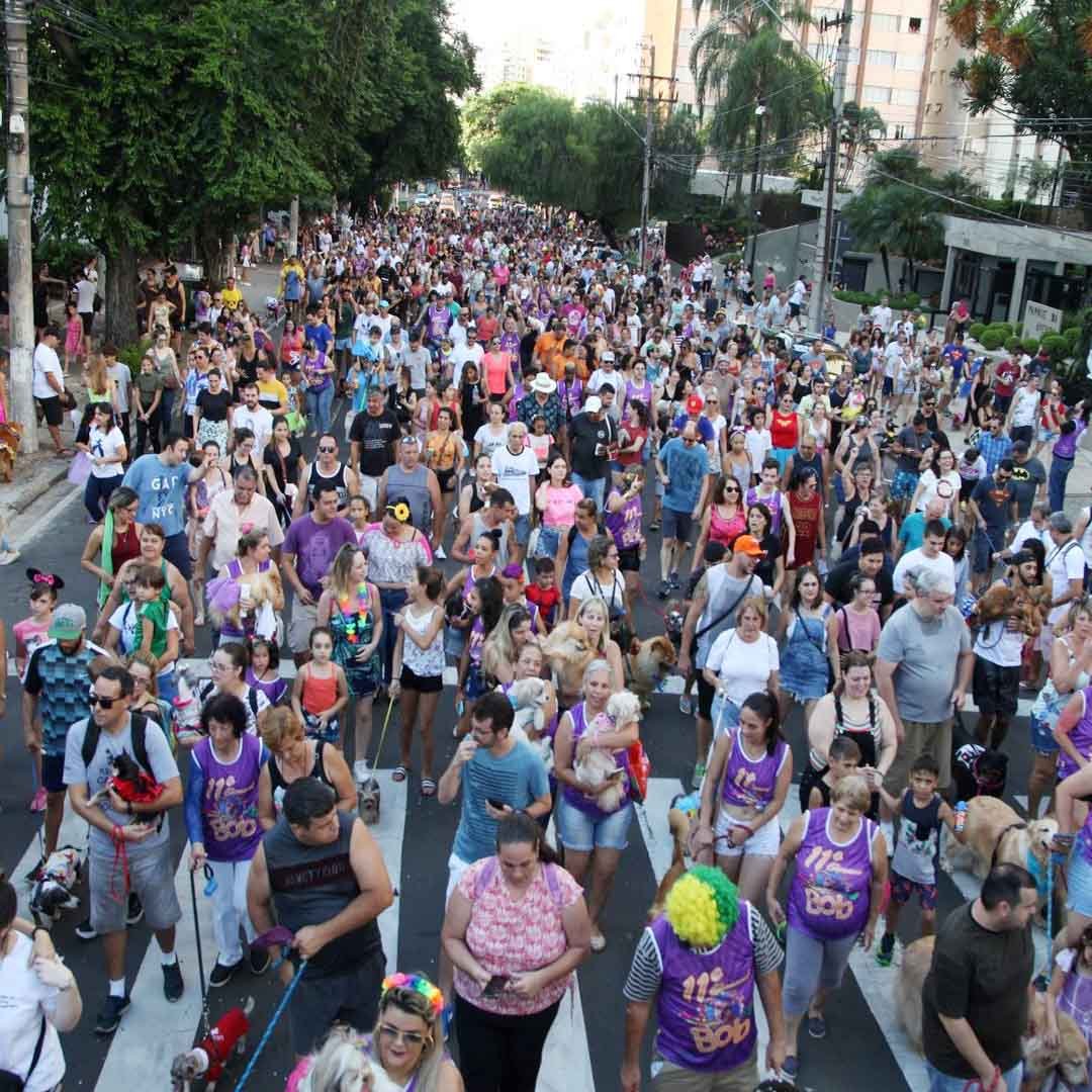 “Bloco do Bob” é uma das principais atrações em Campinas neste domingo