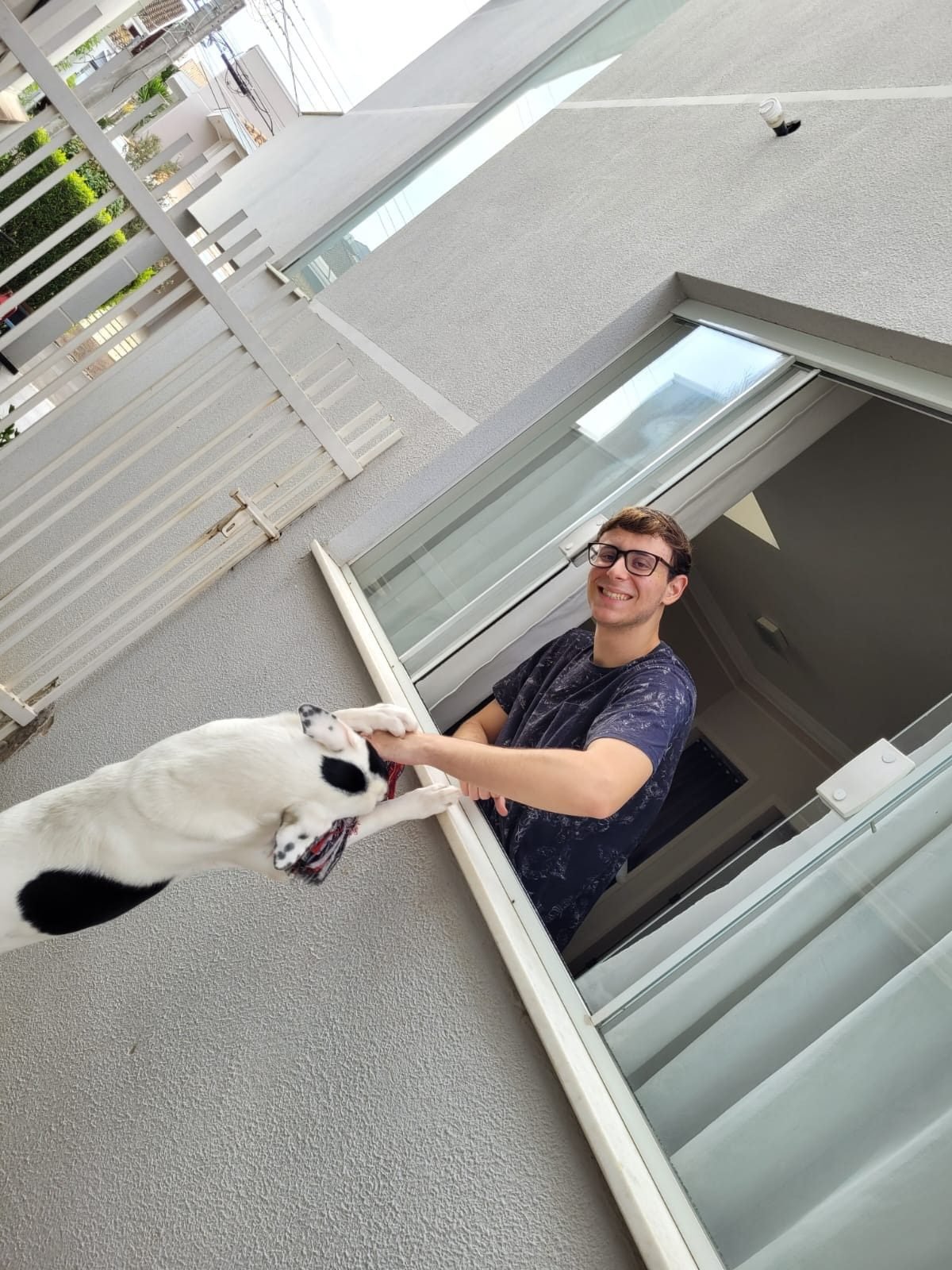 Dionísio foi adotado em 2022 e hoje vive com Arthur e outros 4 cães
