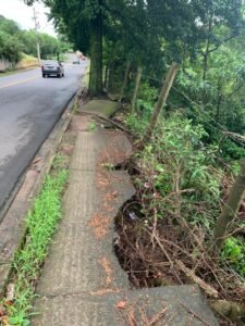 Mato alto e buracos em calçada na Vila Pagano preocupam pedestres