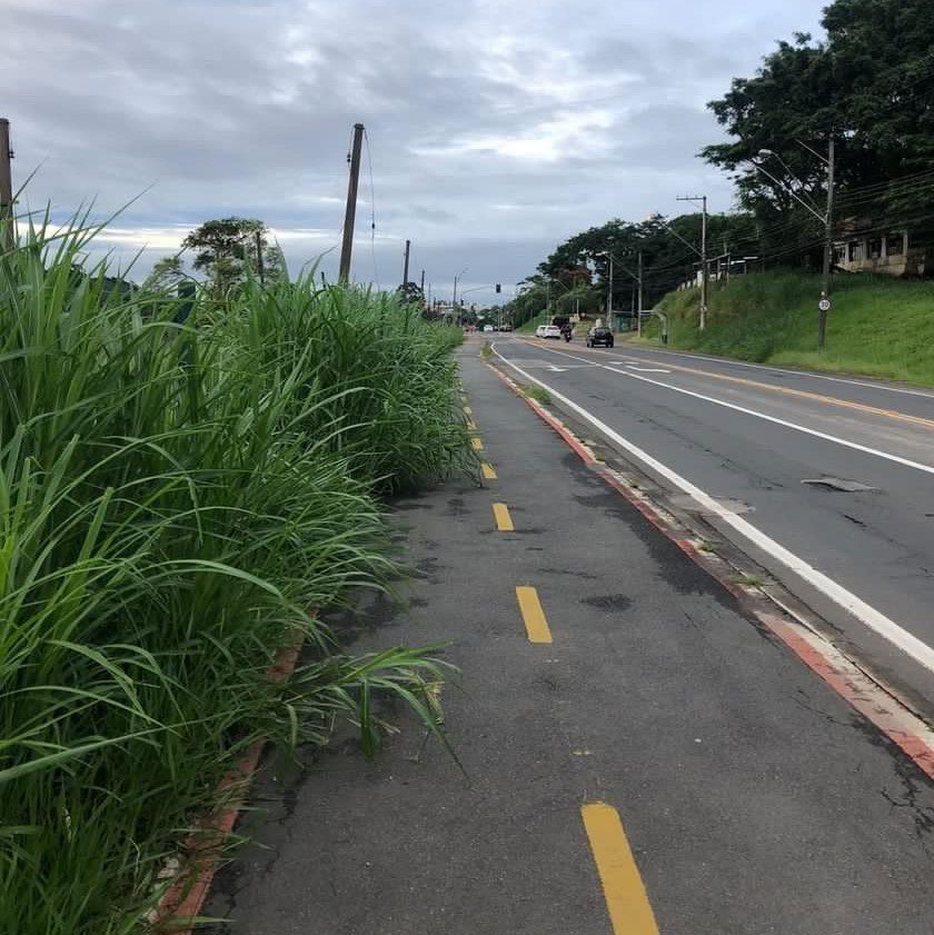 Ciclovia da Rod. dos Andradas é invadida pelo mato