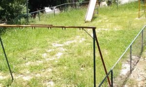 Infestação de pernilongo afeta 36 bairros de Valinhos