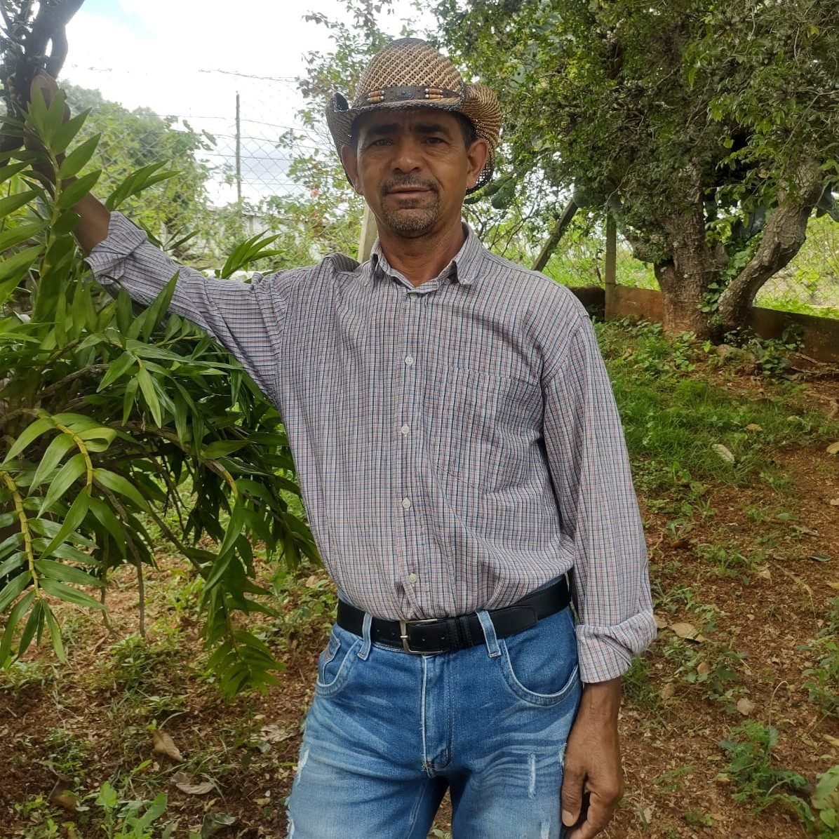 Natural de Sergipe, agricultor de Valinhos já teve plantação destruída por geada