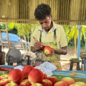 Escultor há 30 anos, valinhense produz 22 tipos de frutas em miniatura