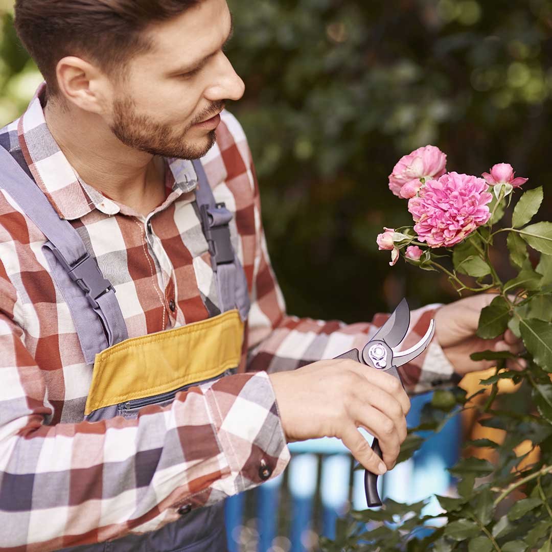 Curso de jardinagem tem vagas abertas até a próxima 4ª feira em Valinhos