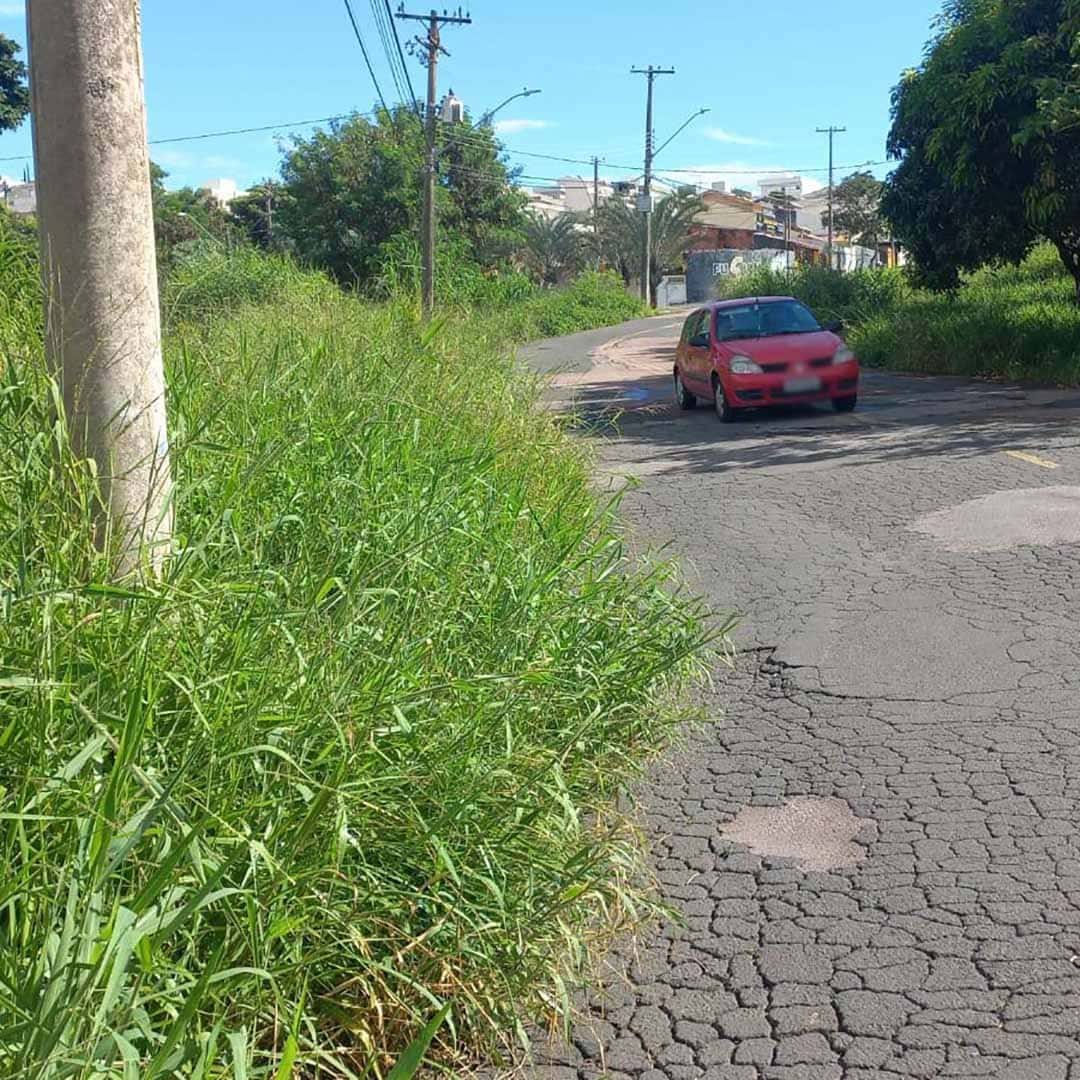 Mato alto ocupa praças e calçadas no Jd. Santa Gertrudes
