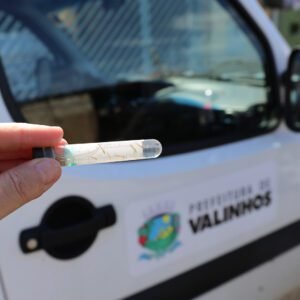 Combate à Dengue se intensificará em semana de mobilização estadual