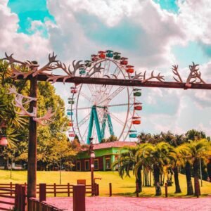 Hopi Hari dará ingresso para profissionais de saúde em abril