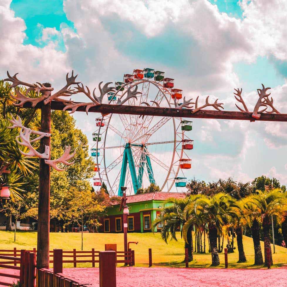 Hopi Hari dará ingresso para profissionais de saúde em abril