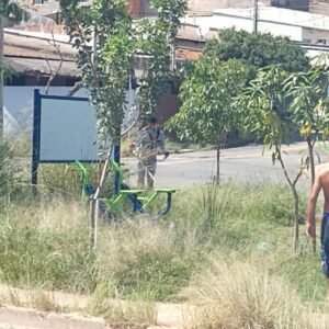 Moradores se unem para cortar mato de praça do Jd. das Figueiras