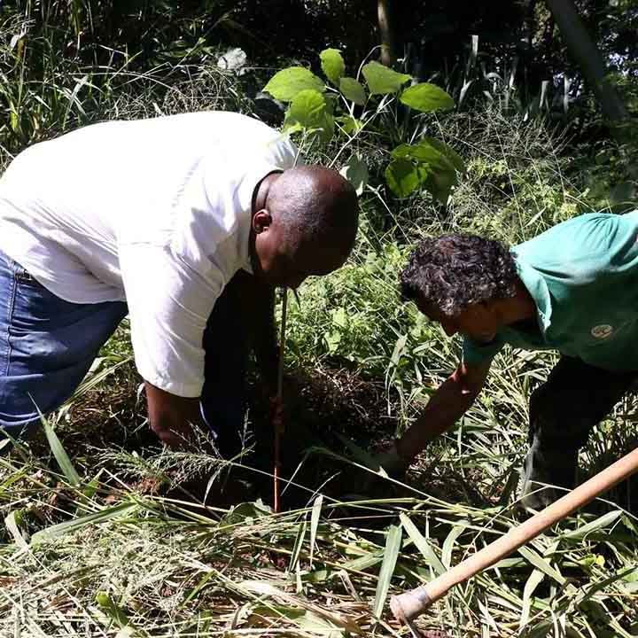 Dia Mundial da Água é marcado por plantio de árvores em Valinhos