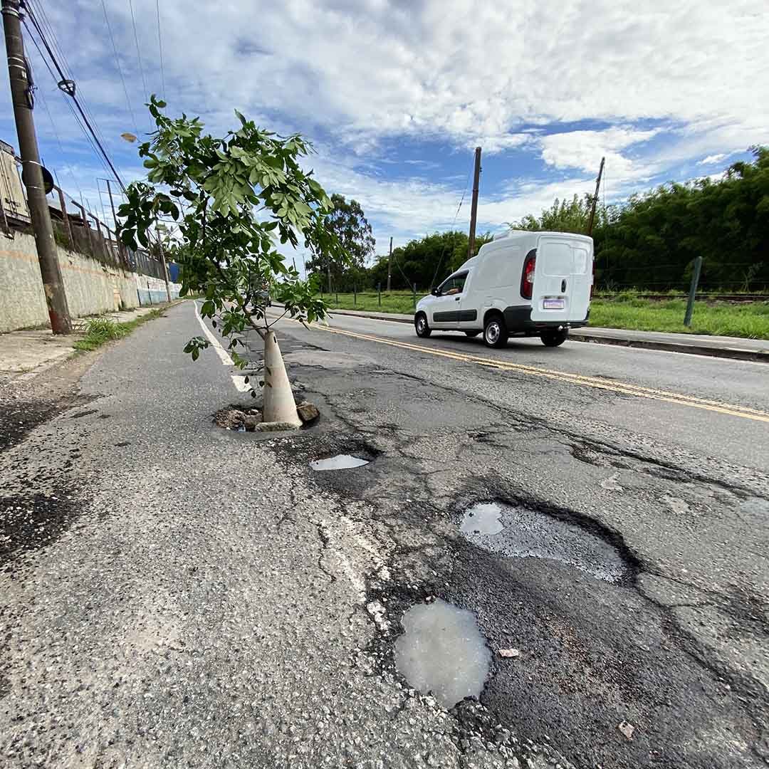 Pessoas colocam galho e cone em buraco na Rod. dos Andradas