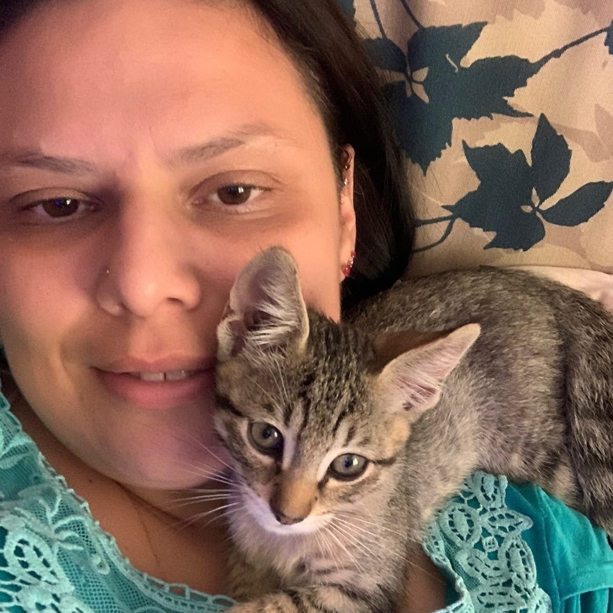 Gato Kiko foi adotado pela valinhense Renata e é amado por toda a família