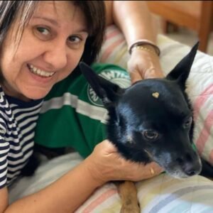 Greta gosta de carinho e foi adotada por Claudia em 2015