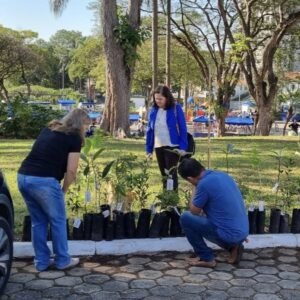 “Feira Arte na Praça” em Valinhos terá doação de mudas e encontro de fuscas