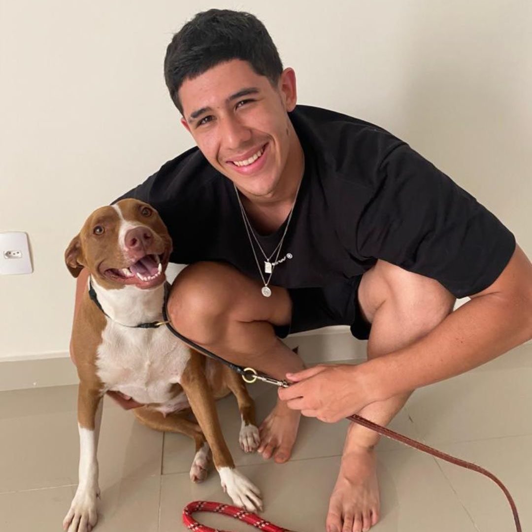 Skyler, pitbull de 1 ano e meio, recebe cuidados do valinhense Renan