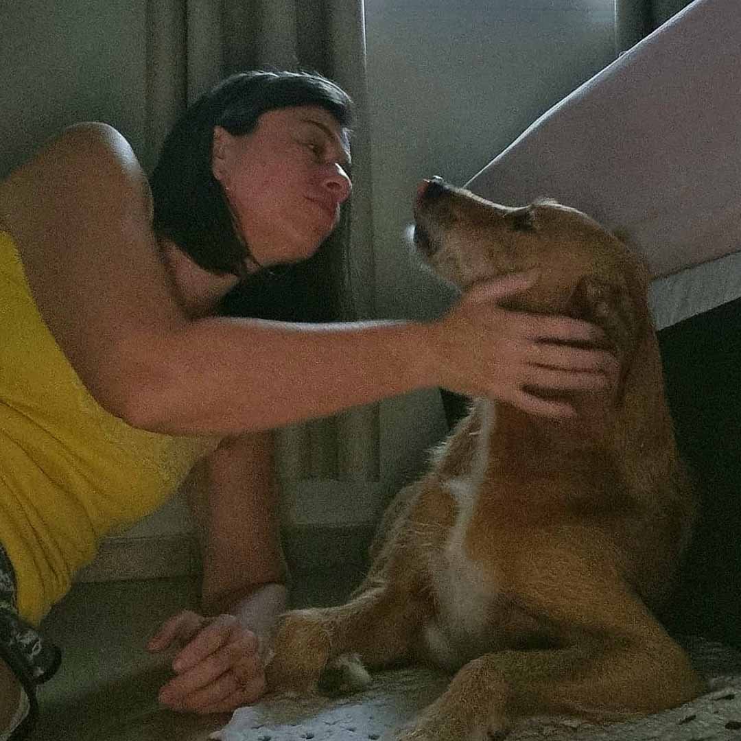 Cãozinho Bolt foi adotado por Gisele e hoje é seu melhor amigo