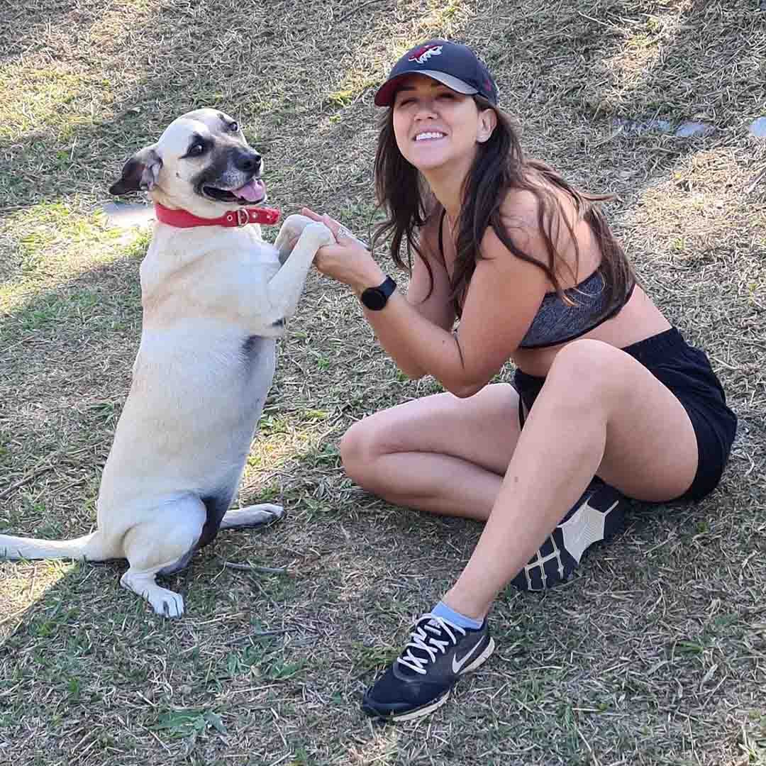 Cadelinha Amora foi adotada por Aline em 2015