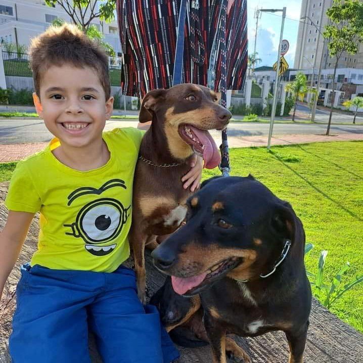 Laika foi adotada e é companheira de Murilo e da cadelinha Jade