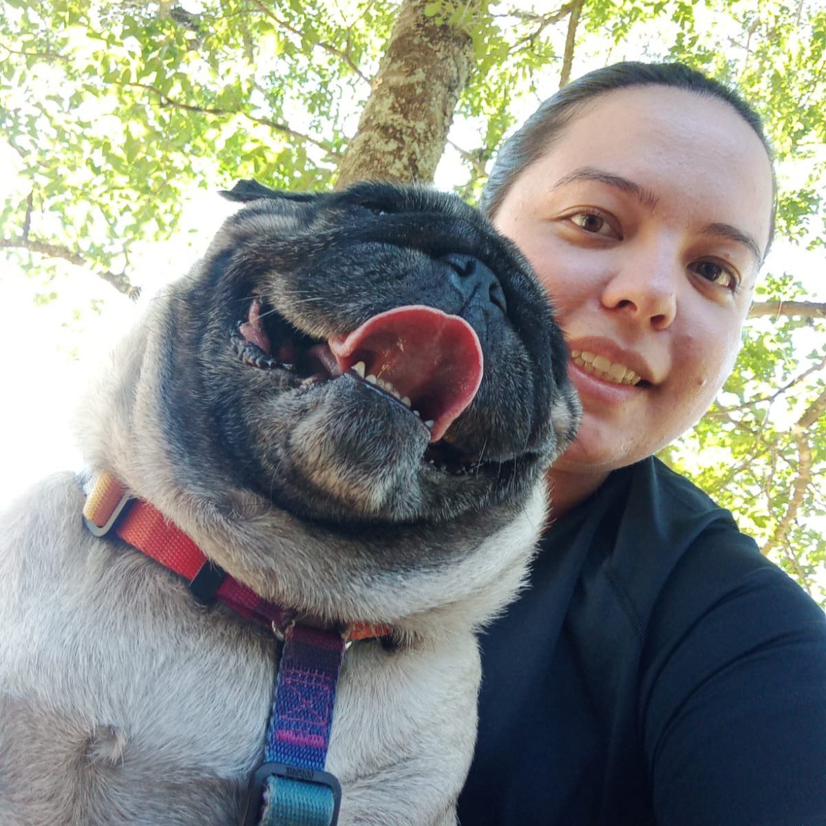 Valinhense Kátia ajudou pug Amora a superar lesão na coluna