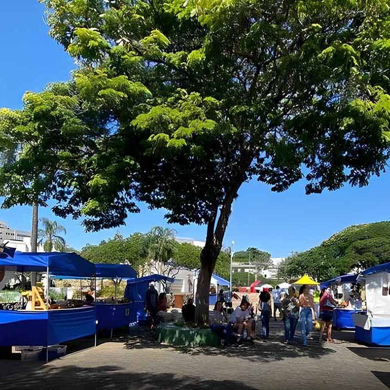 “Feira Arte na Praça” terá aula de fitdance e recreação em Valinhos