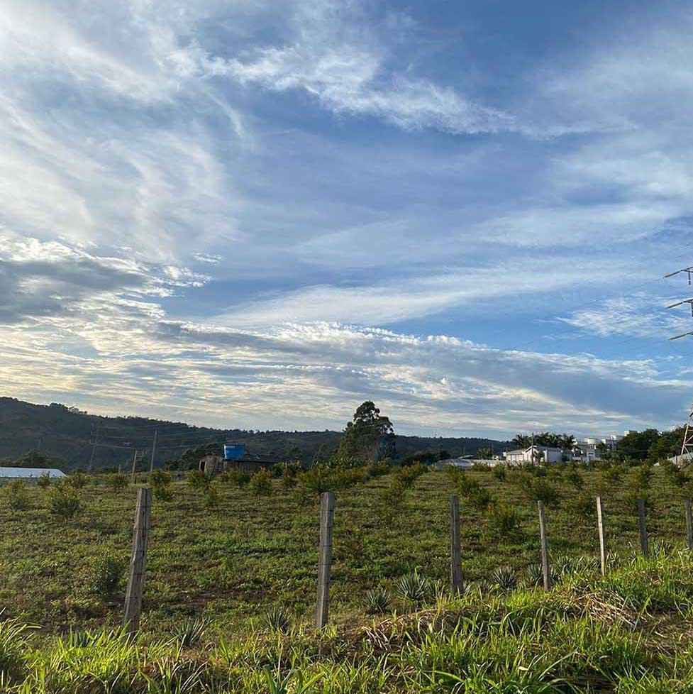 Semana em Valinhos poderá ser marcada por frio e sem chuvas