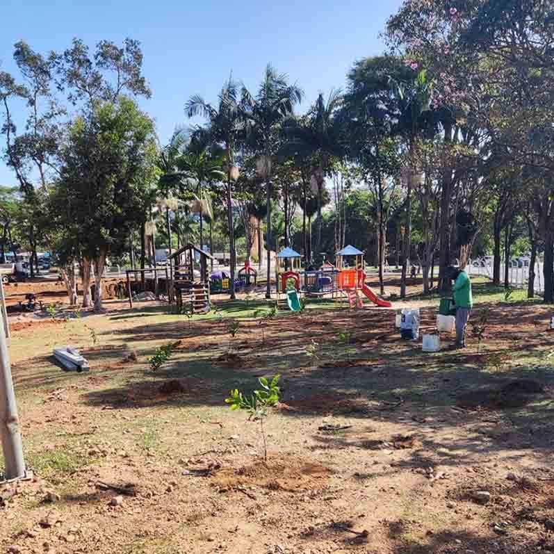 Aniversário de Valinhos contará com plantio de árvores no CLT