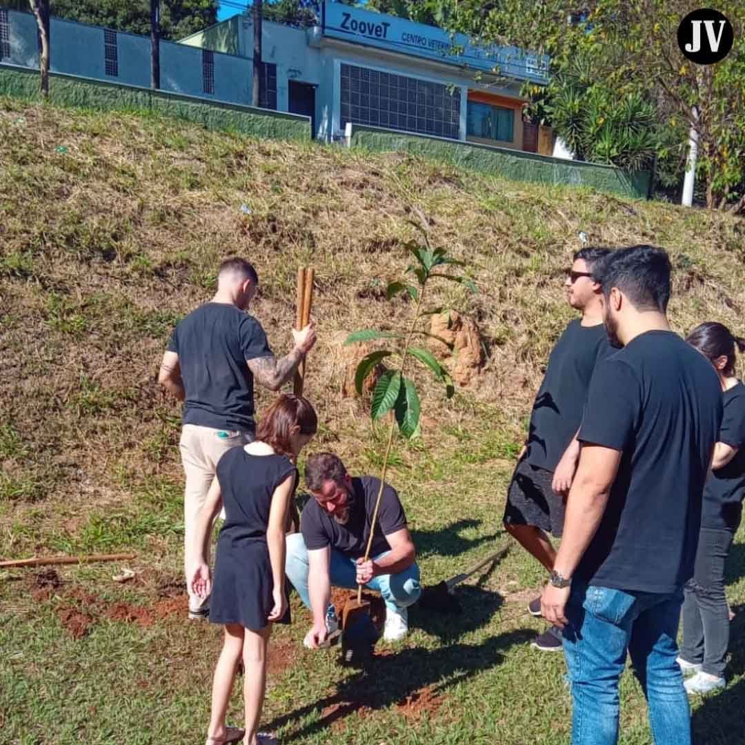 Grupo de voluntários planta 50 mudas de árvores no CLT em Valinhos