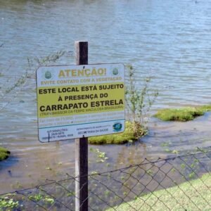 Valinhos entra em alerta após 4 mortes por febre maculosa em Campinas