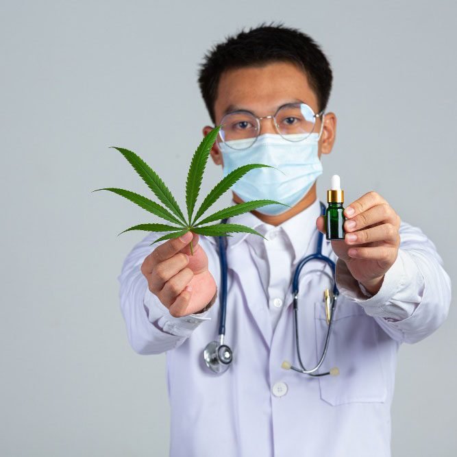 SP define doenças que serão tratadas com cannabis pelo SUS