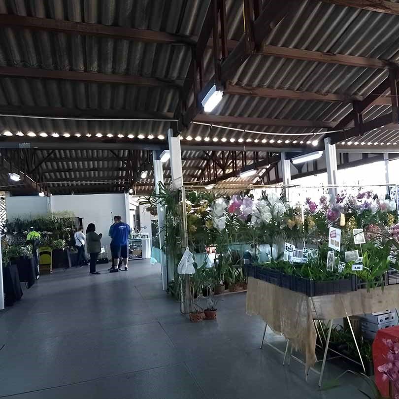 Exposição de Orquídeas será realizada neste fim de semana em Valinhos