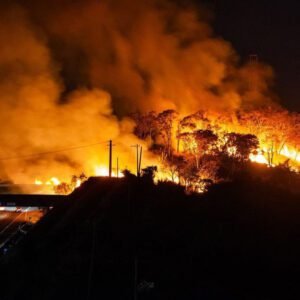 Altas temperaturas elevam risco de incêndios, alerta Defesa Civil de SP