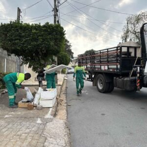 Ações de prevenção contra acidentes com escorpiões são intensificadas em Valinhos