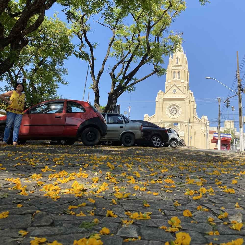 Primavera em Valinhos e região poderá ter temperaturas e chuvas acima da média