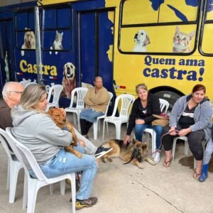 Inscrições para 2ª etapa do Castramóvel são iniciadas em Valinhos