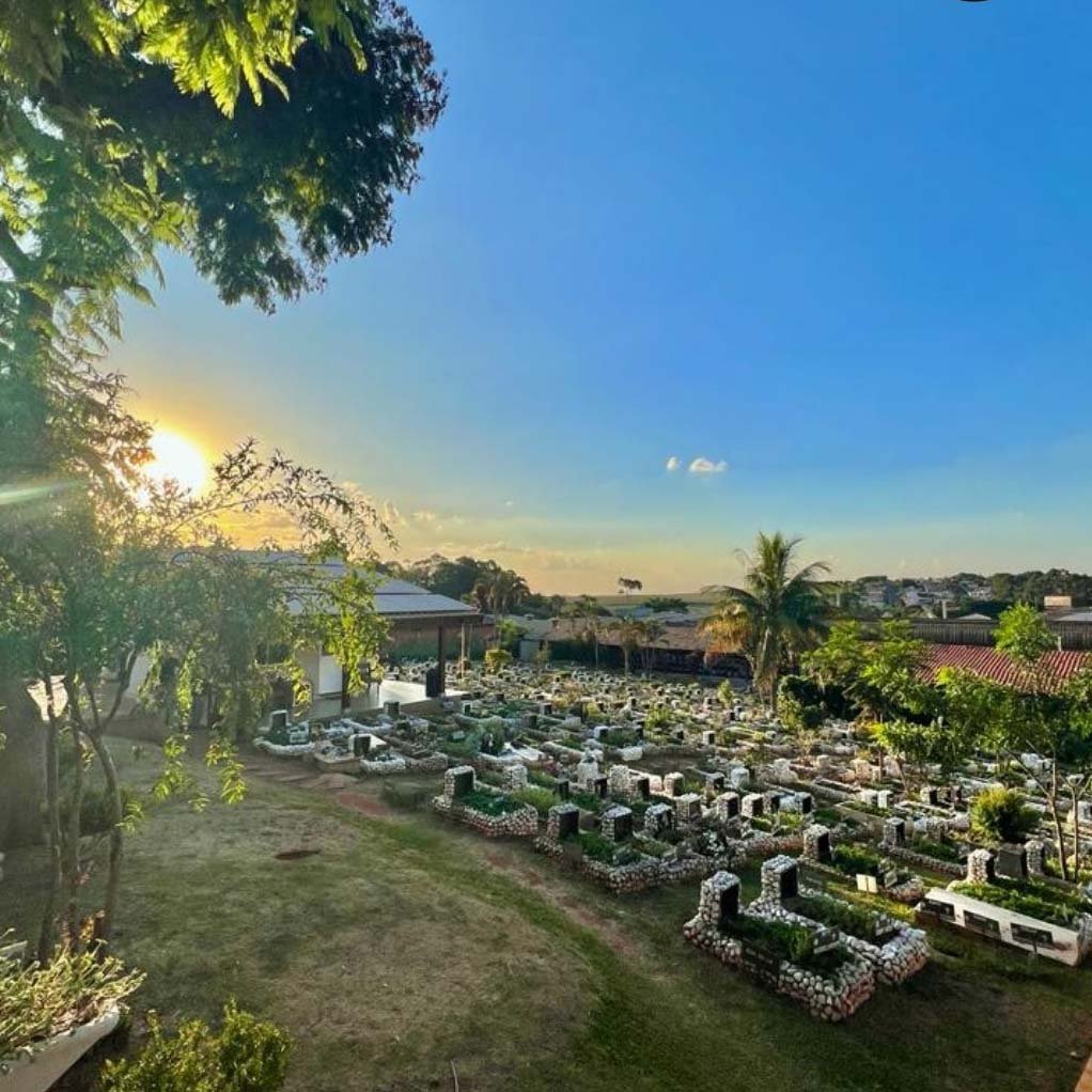 Cemitério e crematório de pets em Campinas prevê 400 visitantes no Finados