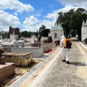 Cemitério de Valinhos fecha nesta 3ª feira para dedetização