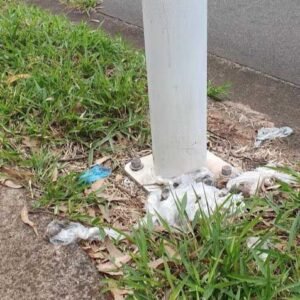 Sacolinhas com fezes de animais costumam ser jogadas às margens de via no Jd. Paiquerê em Valinhos