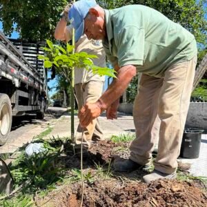 Pq. Municipal em Valinhos recebe 25 mudas de árvores no entorno