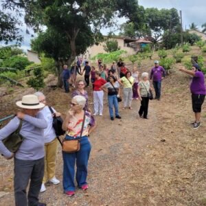 Passeio de agroturismo chama atenção de visitantes de outros estados na Festa do Figo