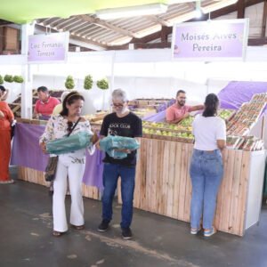 120 toneladas de frutas foram vendidas na Festa do Figo