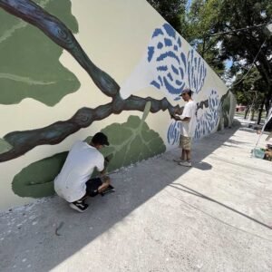 Muros da Festa do Figo são decorados por artistas de Valinhos