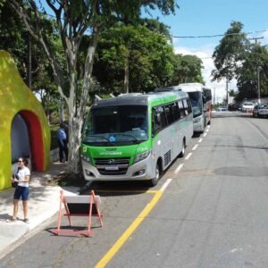 Festa do Figo de Valinhos já recebeu 77 excursões com turistas