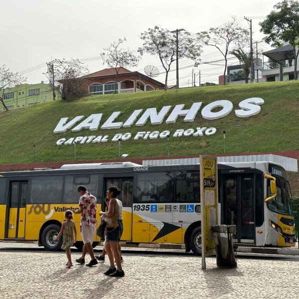 Festa do Figo contará com linha especial de ônibus