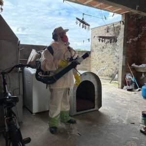 75% dos criadouros do mosquito da dengue estão nas residências, diz ministra da Saúde