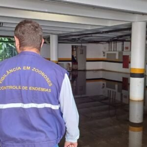 80 novos casos positivos de dengue são confirmados em menos de 10 dias em Valinhos