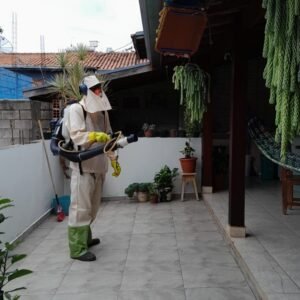 Número de mortes por dengue vão de 26 a 62 em apenas 5 dias no Brasil